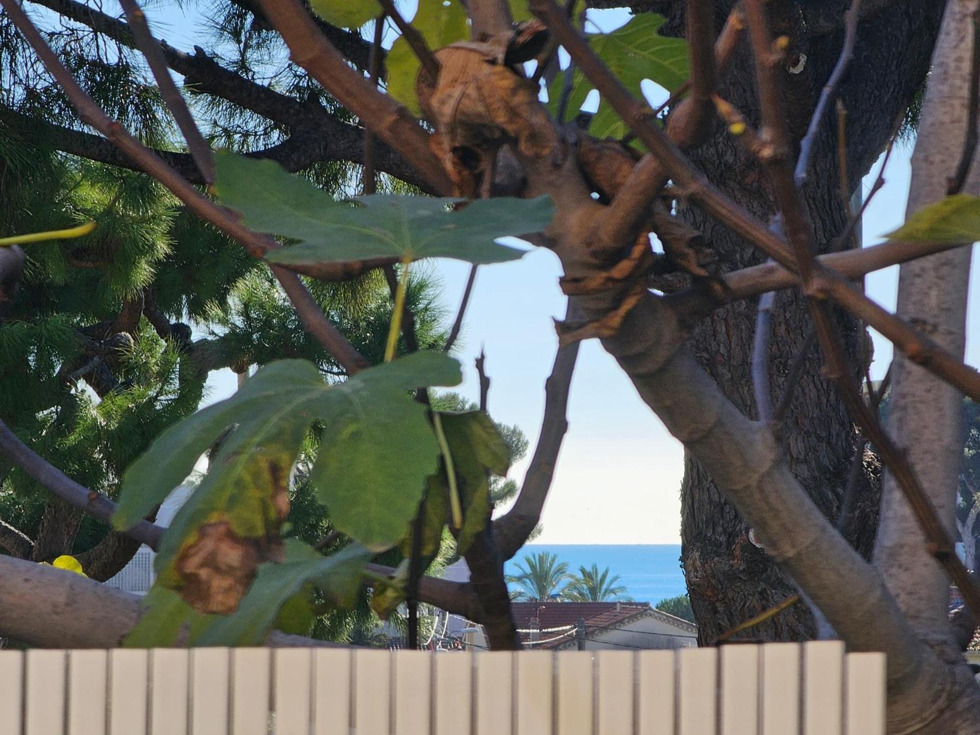 Detente Oceane S2 Proche De La Mer Wifi Clim Cagnes-sur-Mer Exterior photo