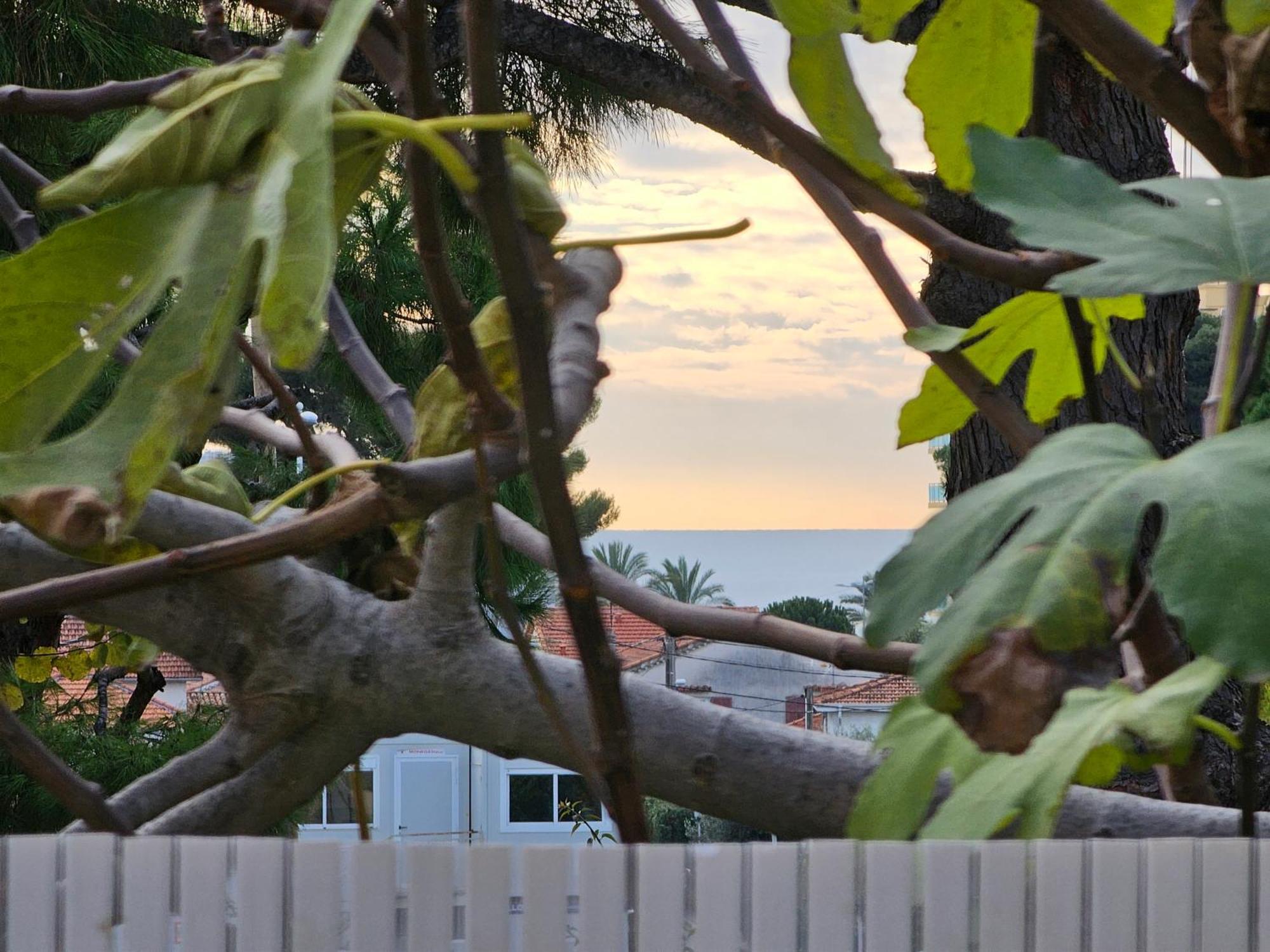 Detente Oceane S2 Proche De La Mer Wifi Clim Cagnes-sur-Mer Exterior photo